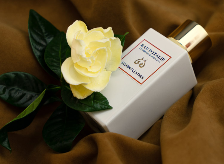 Jasmine leather 2024 perfume